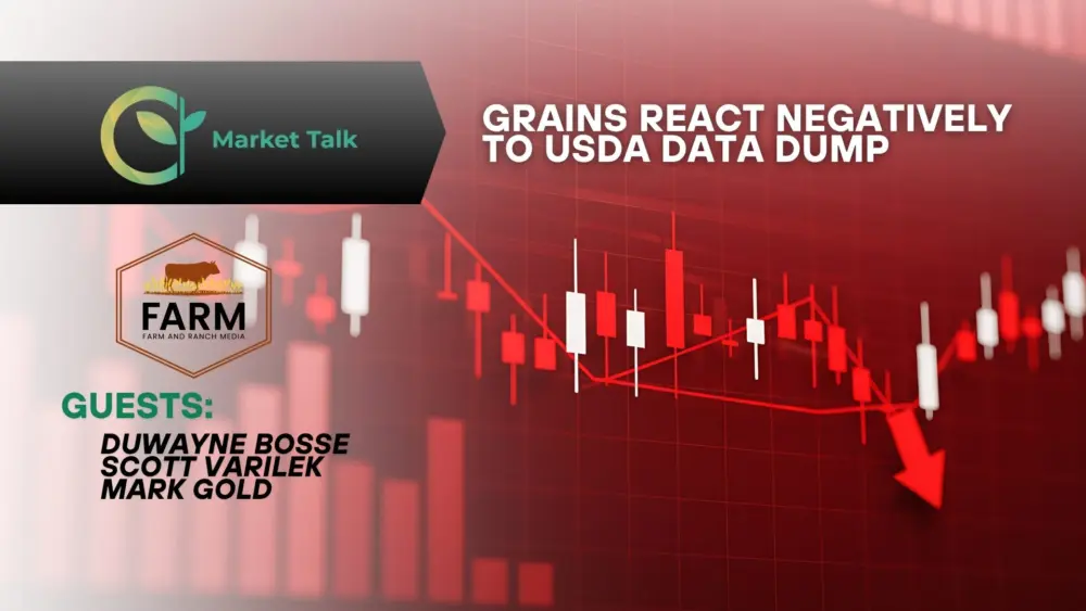 111425-mt-new-youtube-thumbnail-1