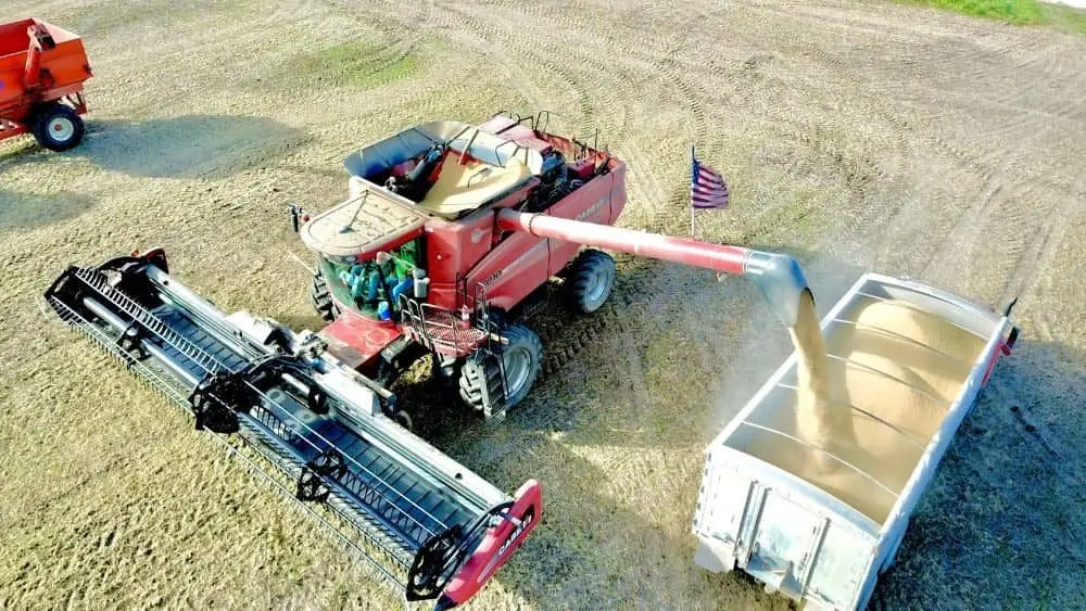 Eric175/Wirestock Creators - stock.adobe.com