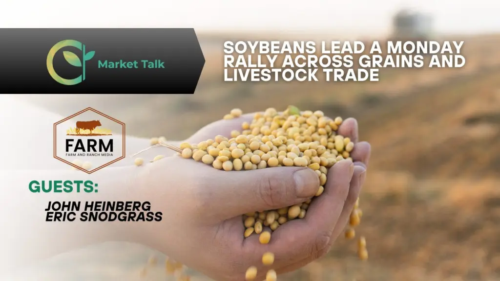 111725-mt-new-youtube-thumbnail-2