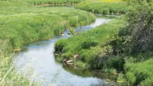 web-photo-template-onecms-1000-x-563-px-2025-11-17t145048-872827768