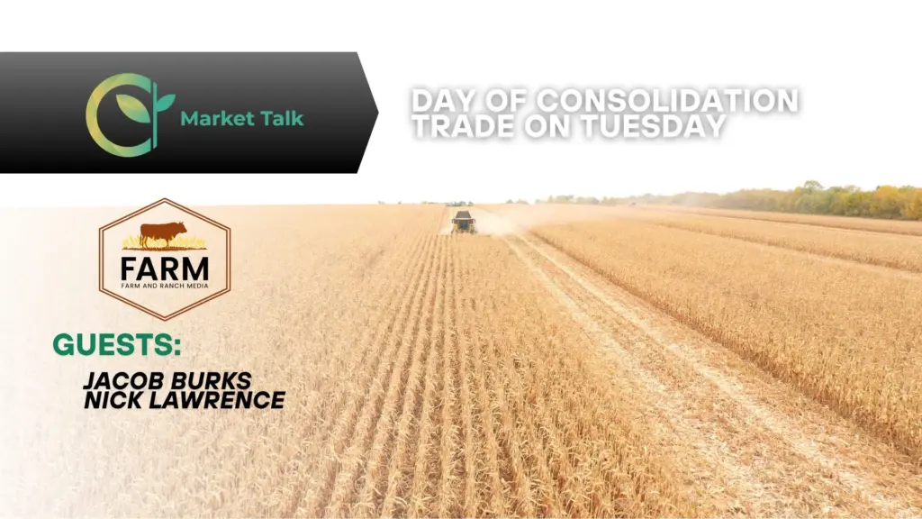 111825-mt-new-youtube-thumbnail-3