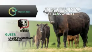 112125-mt-new-youtube-thumbnail-1