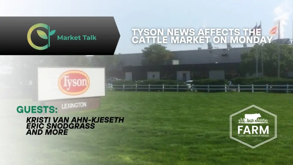 112425-mt-new-youtube-thumbnail-4