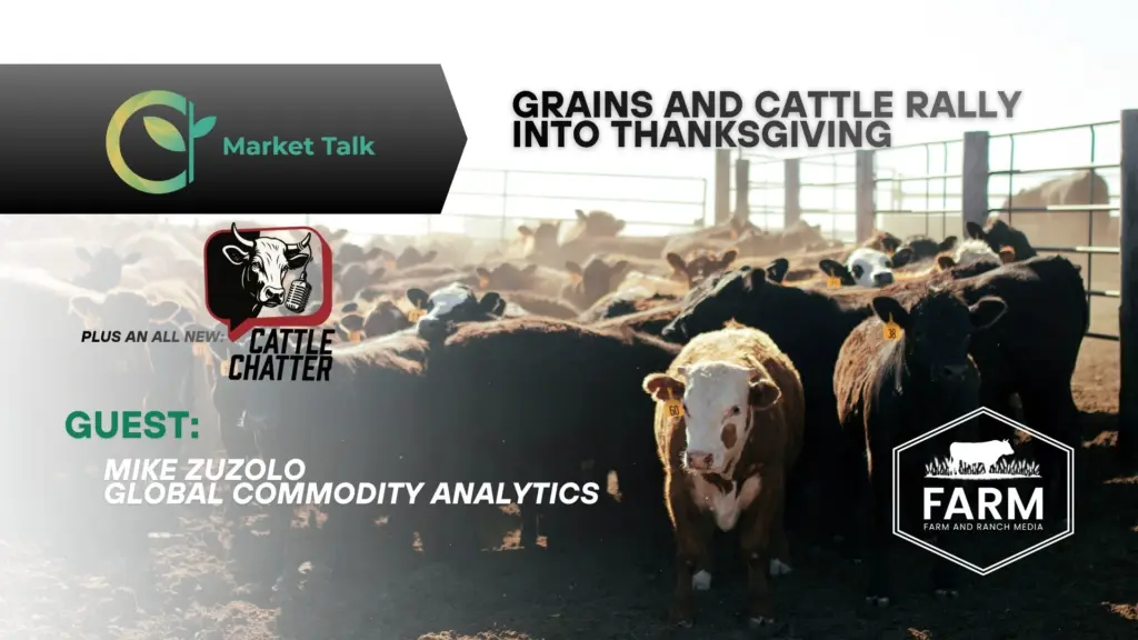 112625-mt-new-youtube-thumbnail-1