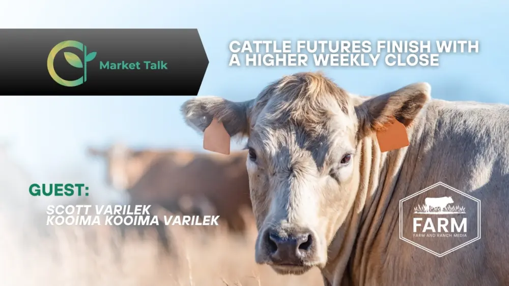 112825-mt-new-youtube-thumbnail