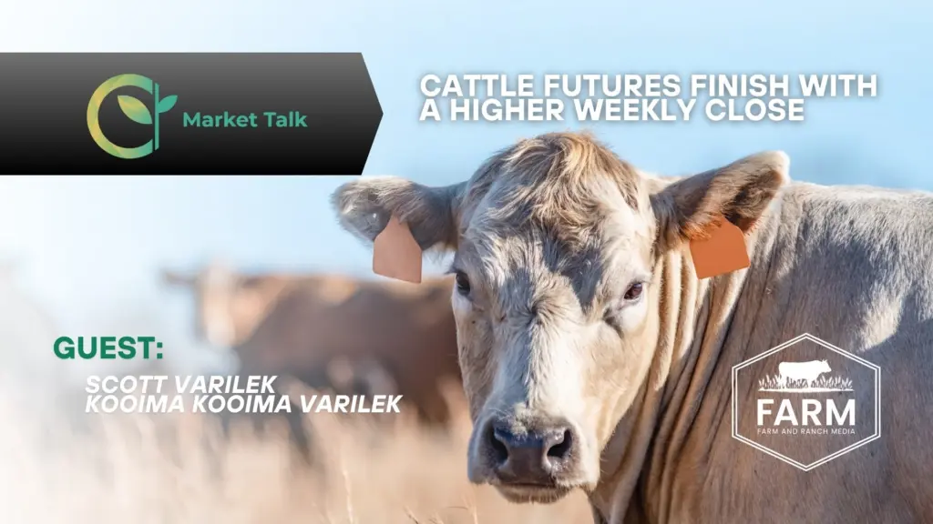 112825-mt-new-youtube-thumbnail