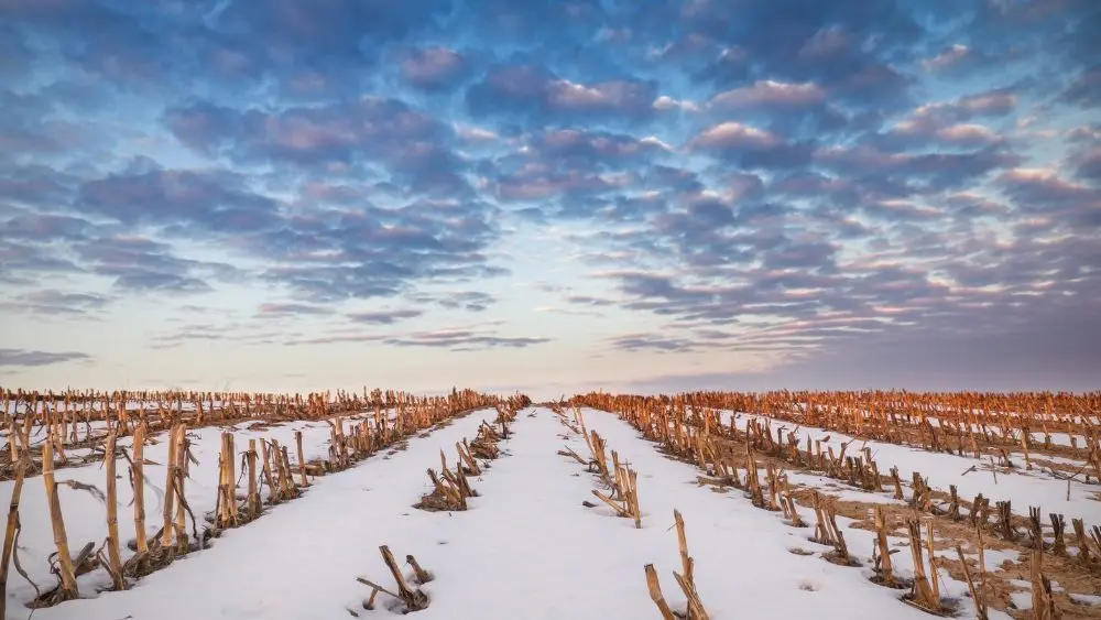 web-photo-template-onecms-1000-x-563-px-2025-10-27t100752-019439653