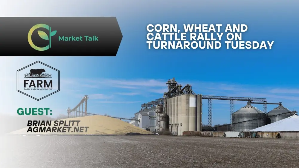 12225-mt-new-youtube-thumbnail