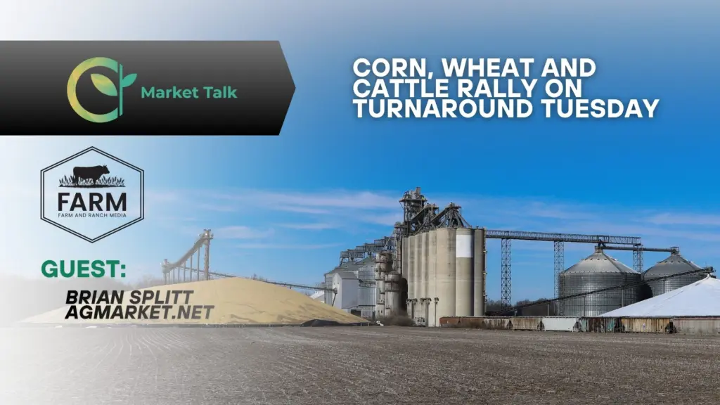 12225-mt-new-youtube-thumbnail