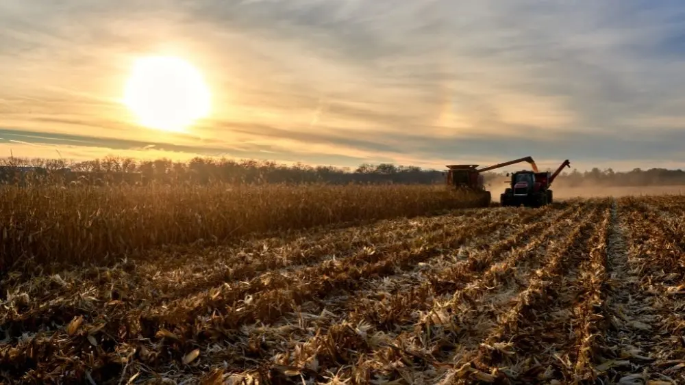 web-photo-template-onecms-1000-x-563-px-2025-09-12t121701-955796153