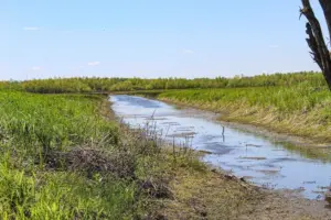 shallow-creek-5155681_1280-845x563632394-1