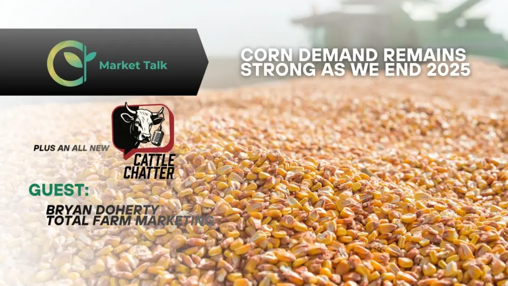 12425-mt-new-youtube-thumbnail-1