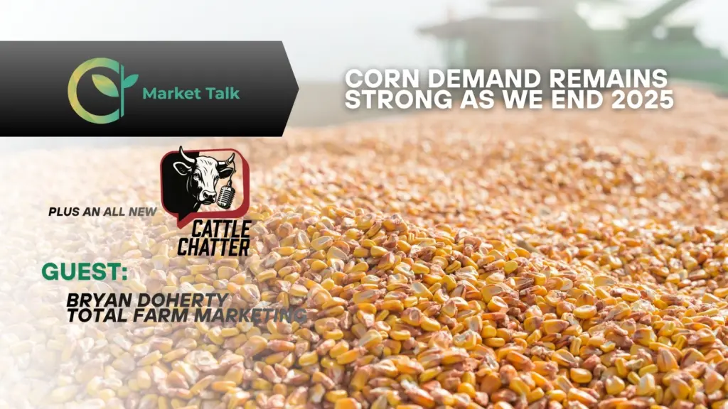 12425-mt-new-youtube-thumbnail-1