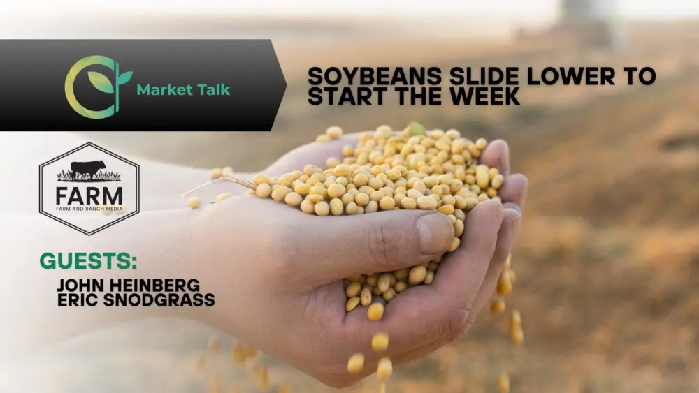 12825-mt-new-youtube-thumbnail-2