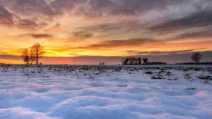 web-photo-template-onecms-1000-x-563-px-2025-12-08t114145-05513425