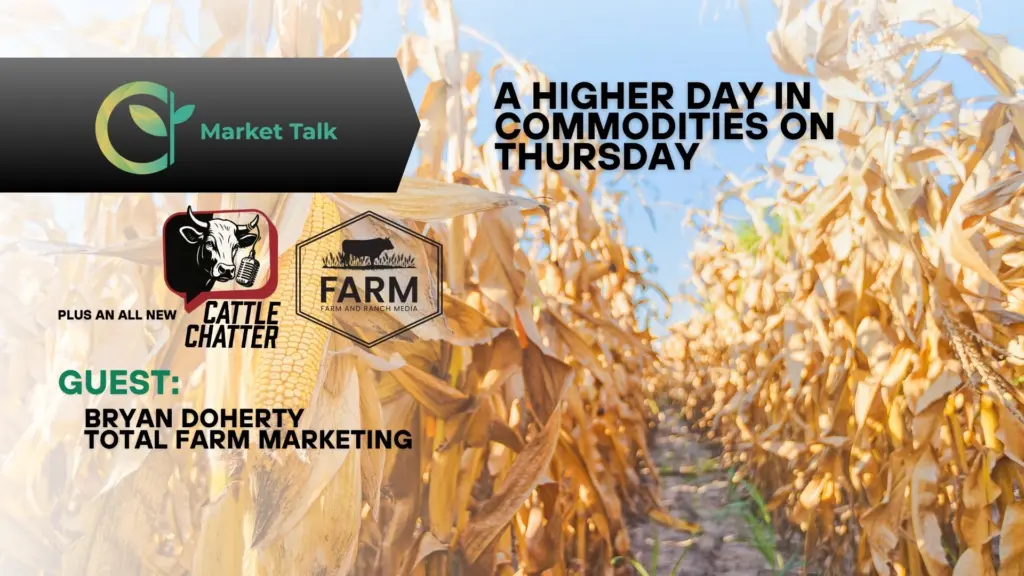 121125-mt-new-youtube-thumbnail-1