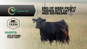 121225-mt-new-youtube-thumbnail-2