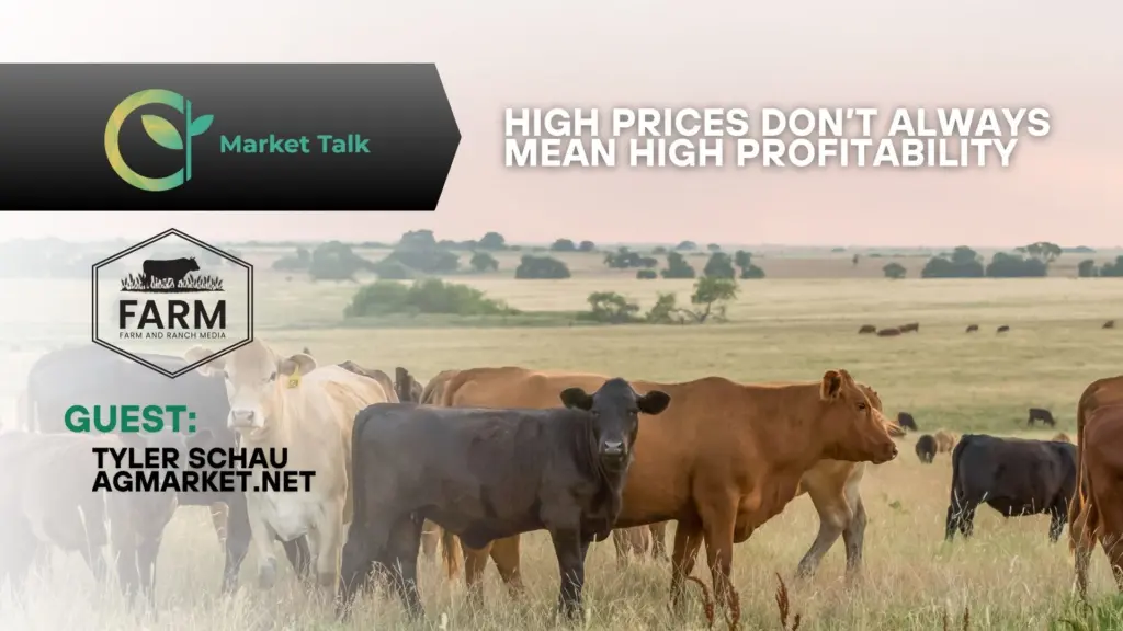 121625-mt-new-youtube-thumbnail