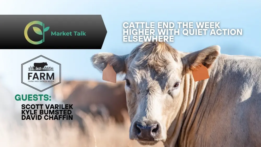 121925-mt-new-youtube-thumbnail-1