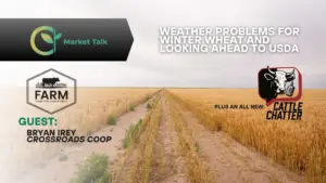 1826-mt-new-youtube-thumbnail-1