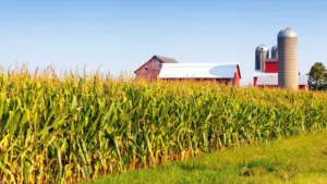 web-photo-template-onecms-1000-x-563-px-18618710