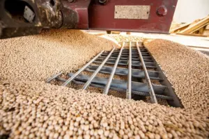 20200820_14-1-scaled-2-844x563705436-1