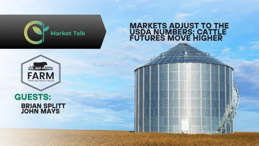 11326-mt-new-youtube-thumbnail