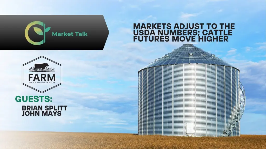 11326-mt-new-youtube-thumbnail