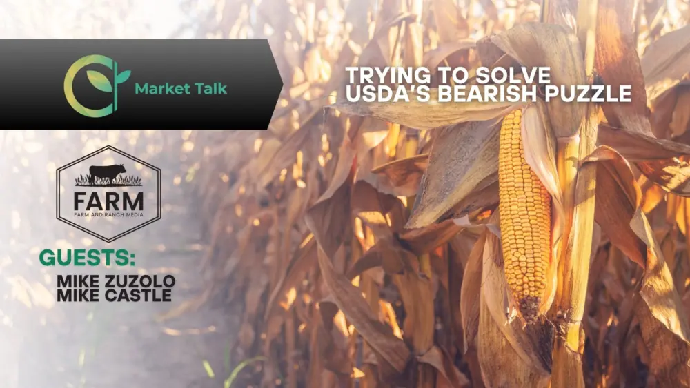 11426-mt-new-youtube-thumbnail-2