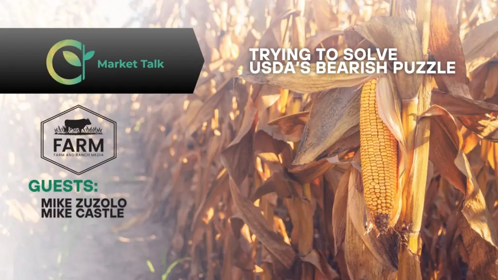 11426-mt-new-youtube-thumbnail-2