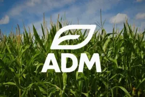 bink_casestudies_logo_adm-png-845x563992116-1