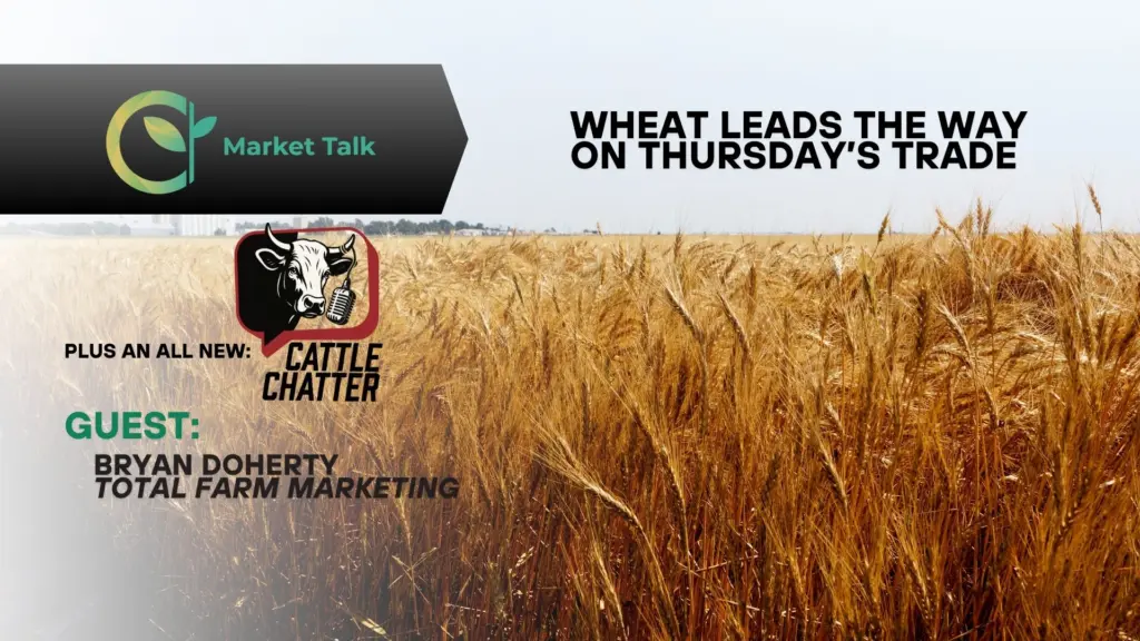 12226-mt-new-youtube-thumbnail-2