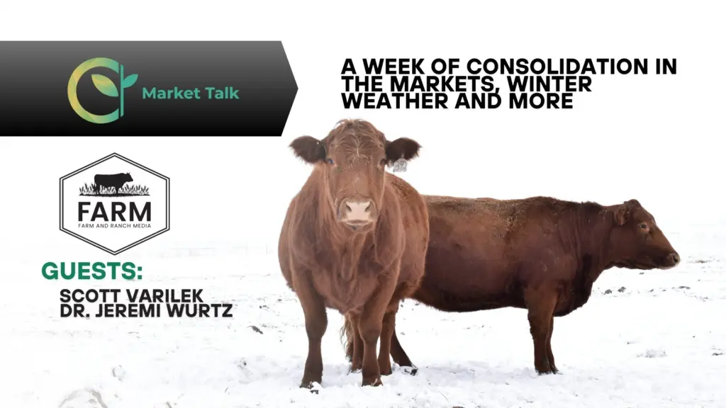 12326-mt-new-youtube-thumbnail-1