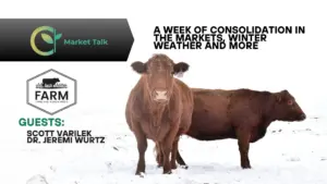 12326-mt-new-youtube-thumbnail-1