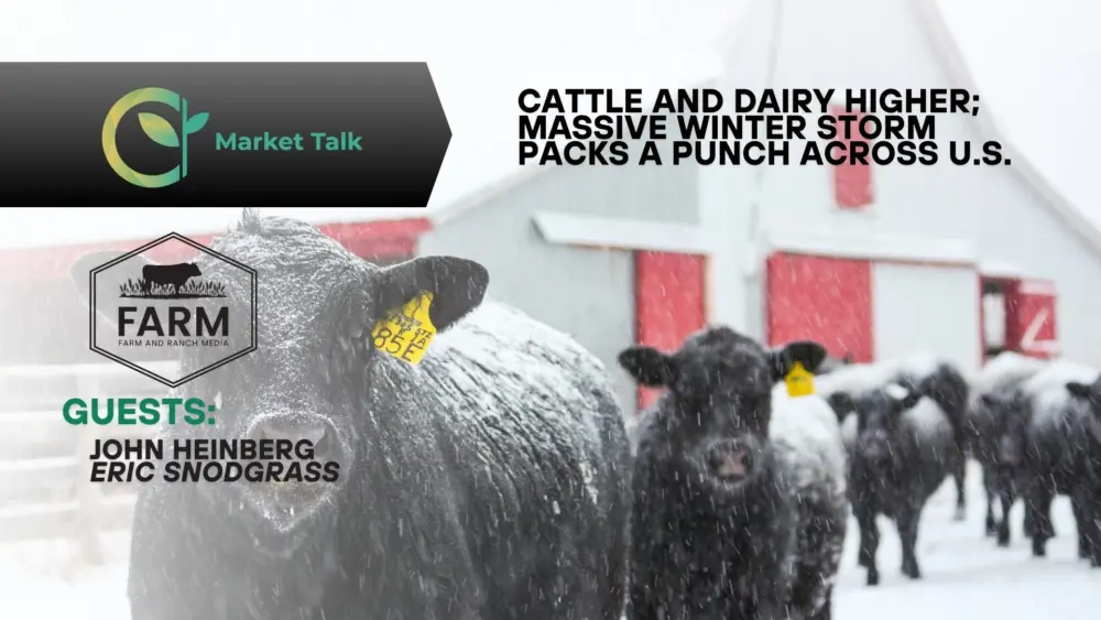 12626-mt-new-youtube-thumbnail