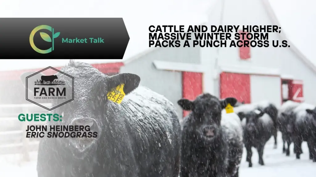 12626-mt-new-youtube-thumbnail