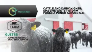 12626-mt-new-youtube-thumbnail