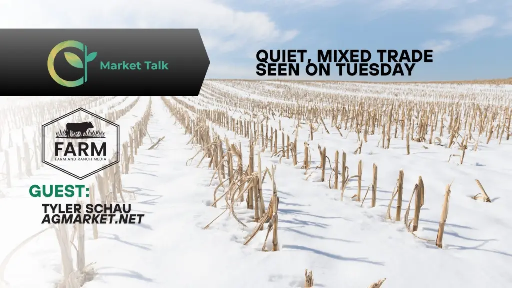 12726-mt-new-youtube-thumbnail