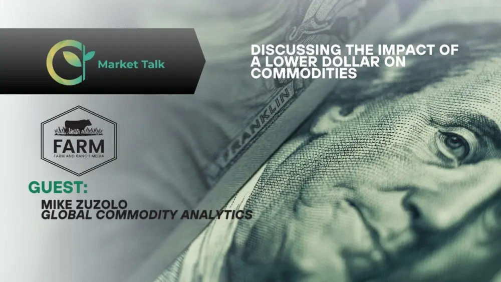 12826-mt-new-youtube-thumbnail