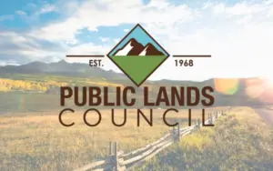 web-photo-template-1020x640-7-898x563645166-1