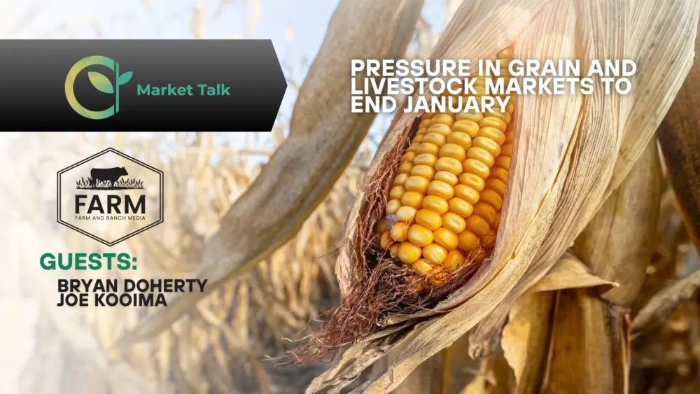 13026-mt-new-youtube-thumbnail-2-2