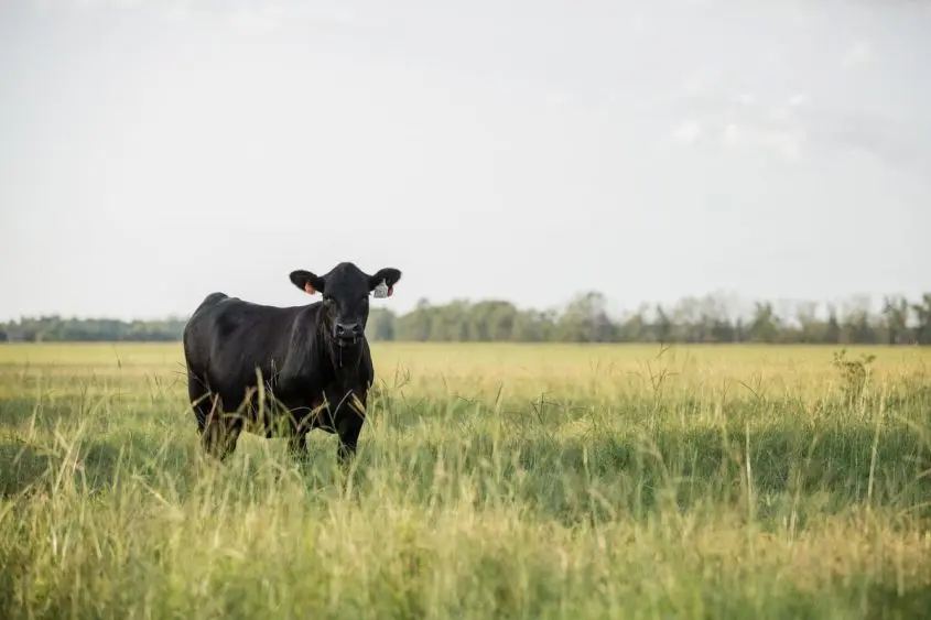 unnamed-17-845x563876135-1