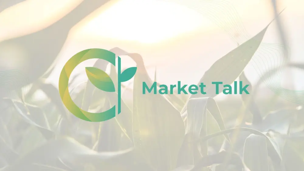 xrddafsrp3blsa6j4640235094810368276t23090119