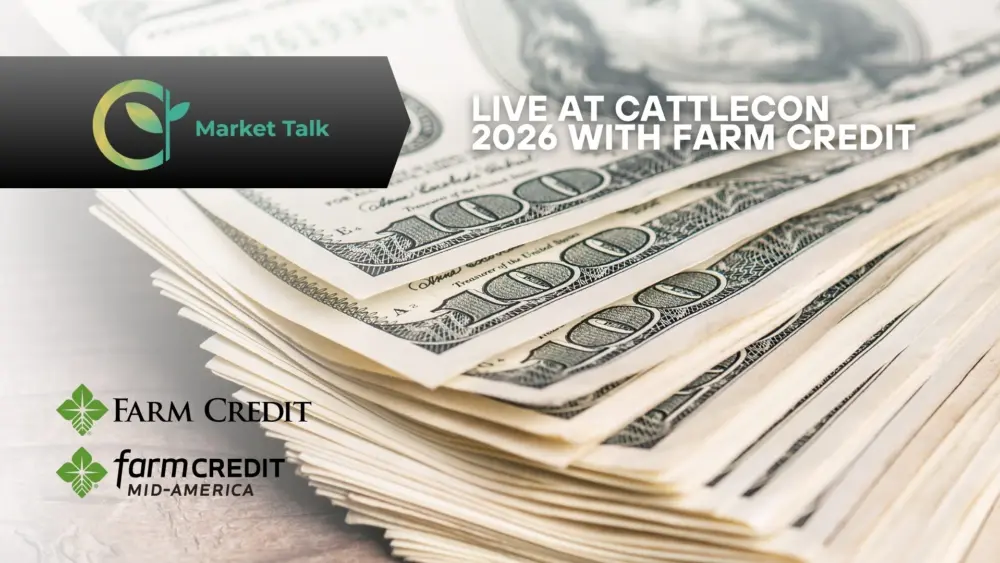 2426-mt-new-youtube-thumbnail-3