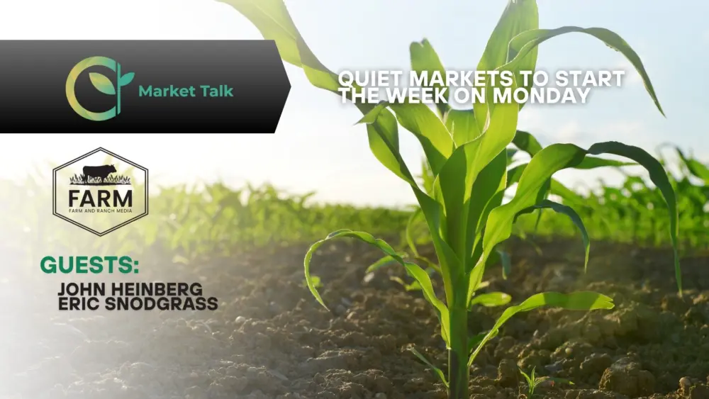 2926-mt-new-youtube-thumbnail-1