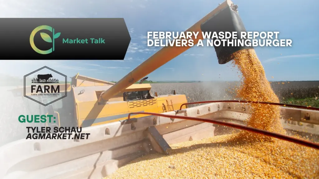 21026-mt-new-youtube-thumbnail