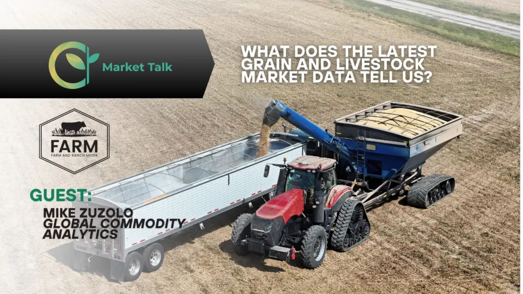 21126-mt-new-youtube-thumbnail-1