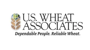 web-photo-template-onecms-1000-x-563-px-26844927