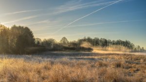 web-photo-template-onecms-1000-x-563-px-38739841