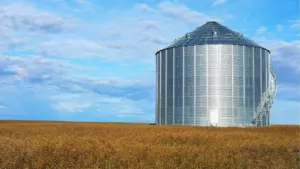 web-photo-template-onecms-1000-x-563-px-2026-01-15t071548-428492063